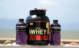 Newcastillian, Protein Powders