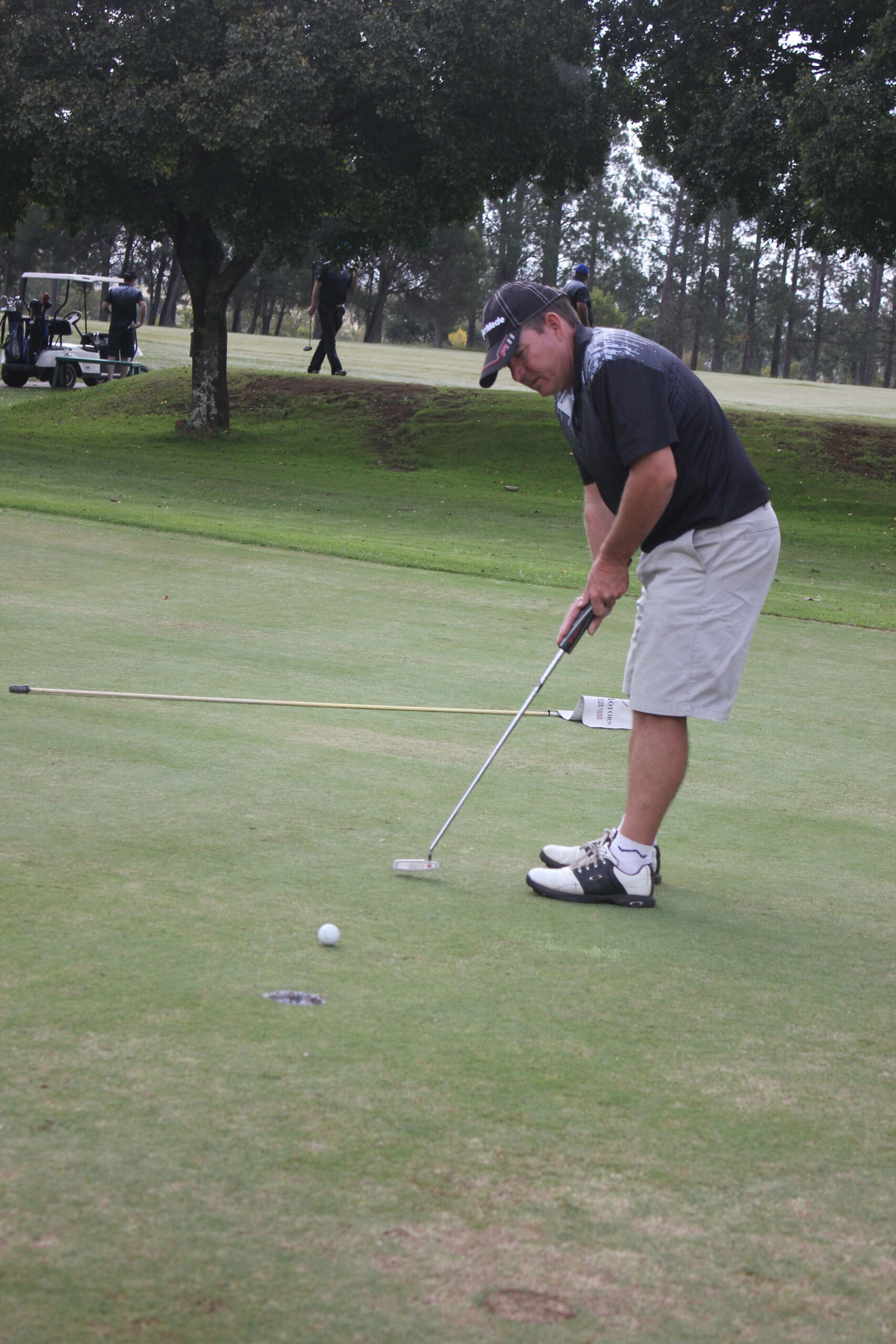 Newcastle Golf Club, Newcastillian, Pixelfish Marketing