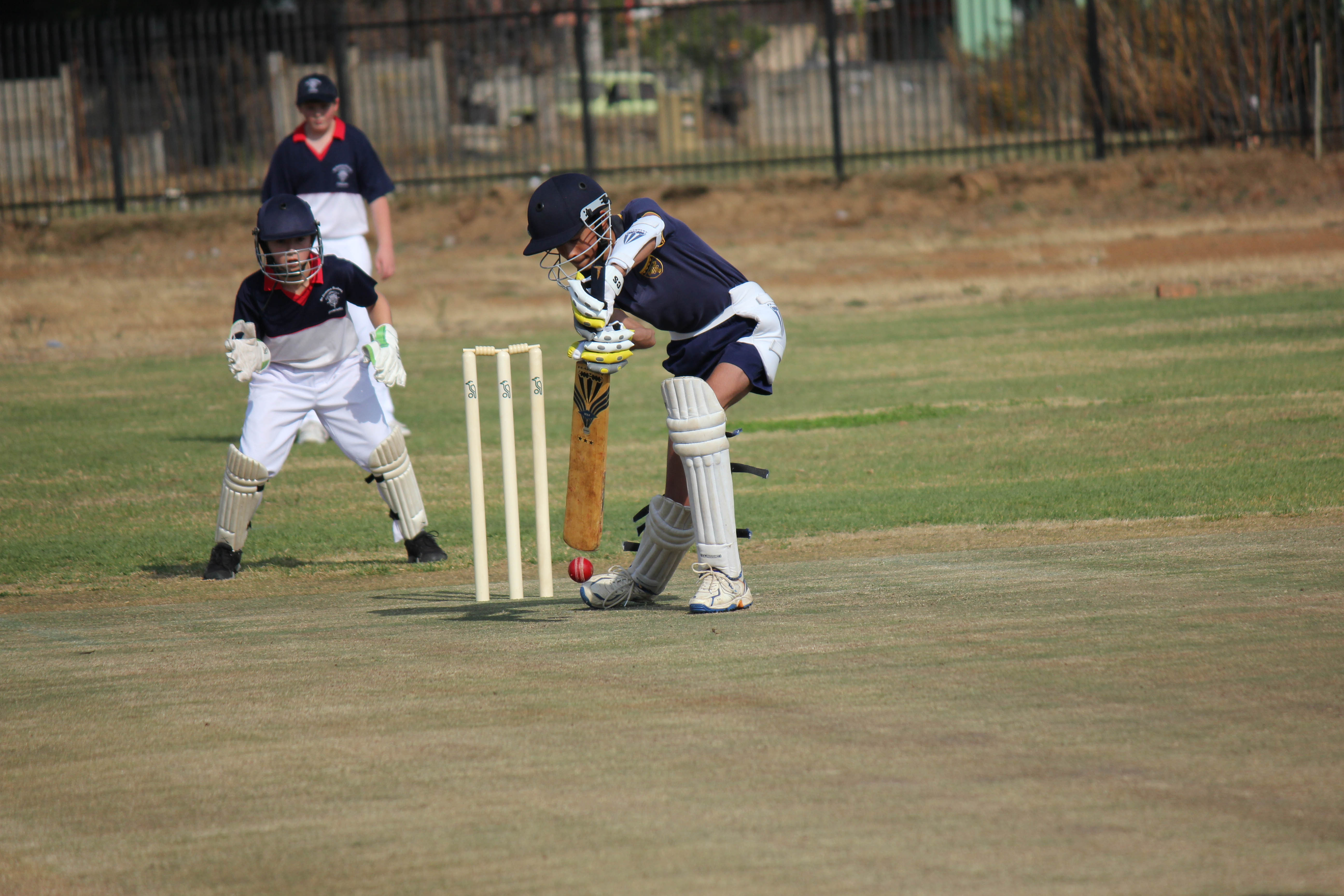 Cricket, Newcastillian