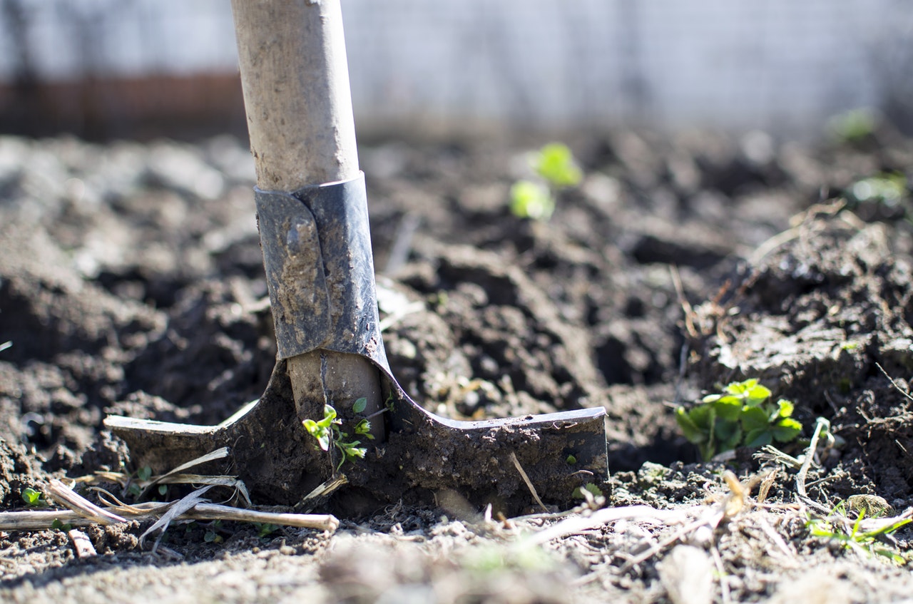 land expropriation