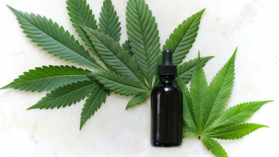 Cannabis Medicine Oil
