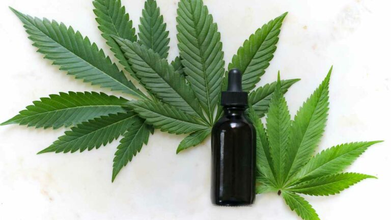 Cannabis Medicine Oil