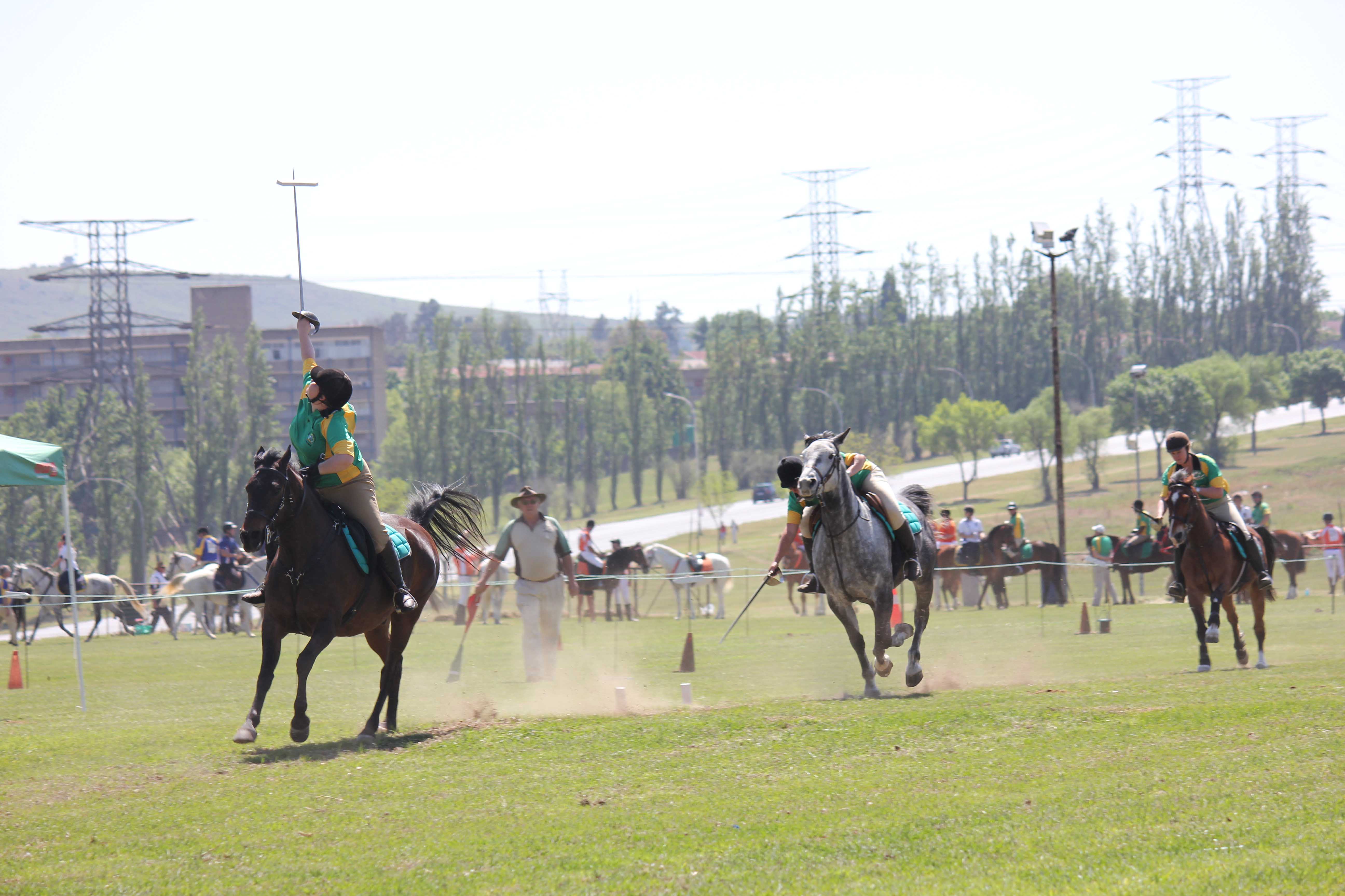 Equestrians, Newcastillian