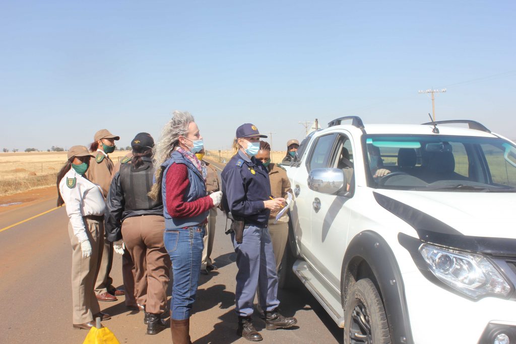 Operation Basadi, Newcastillian