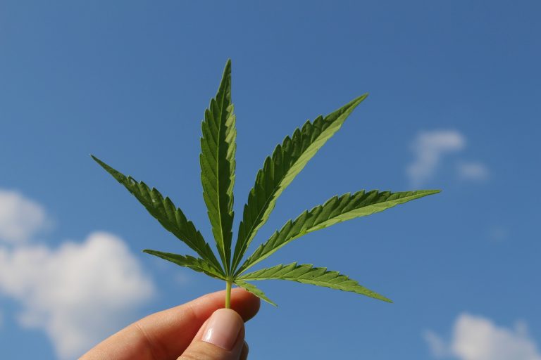 Cannabis for Private Purposes Bill, Newcastillian