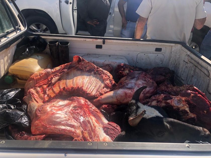 Stock theft evolving, two suspects arrested outside Newcastle