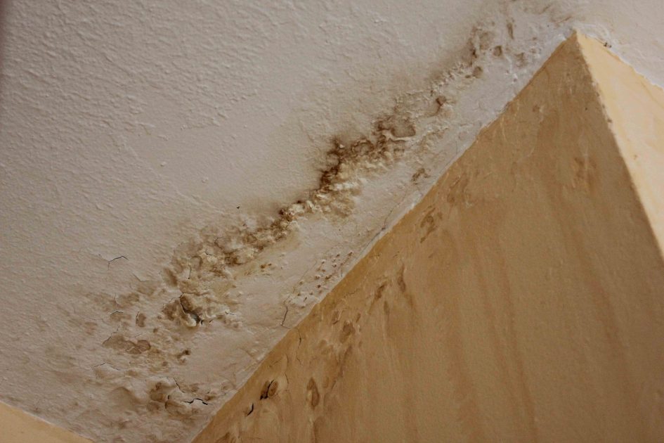 Asbestos, poor living conditions—could Suryaville Flats be condemned? Newcastle Municipality answers