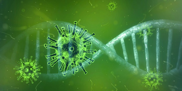 Virus evolution cracks on—up to 20 new mutations found in KZN, Newcastillian - Online News