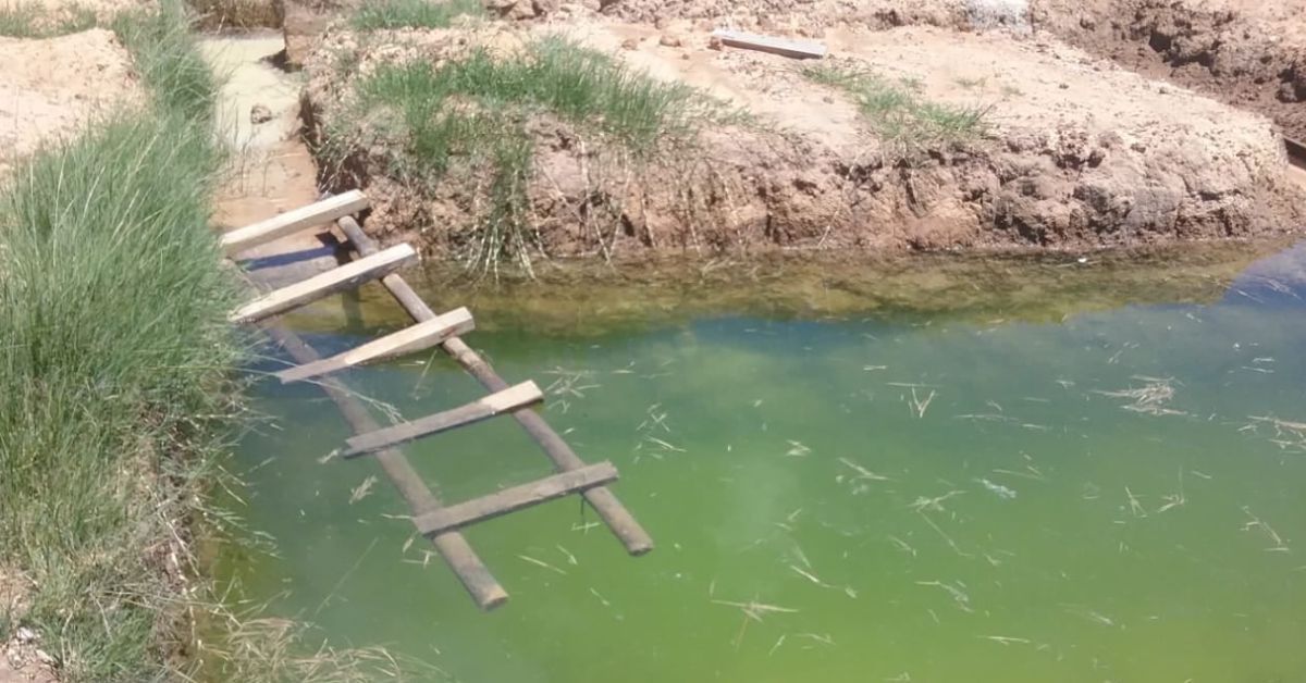DA disturbed by state of two local schools endangering children's lives