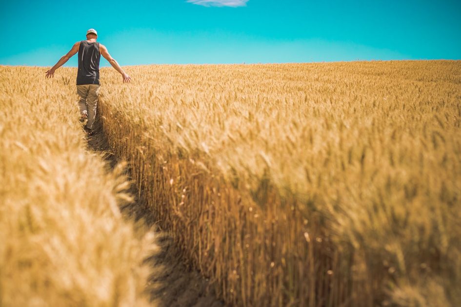 Have your say on the Expropriation Bill