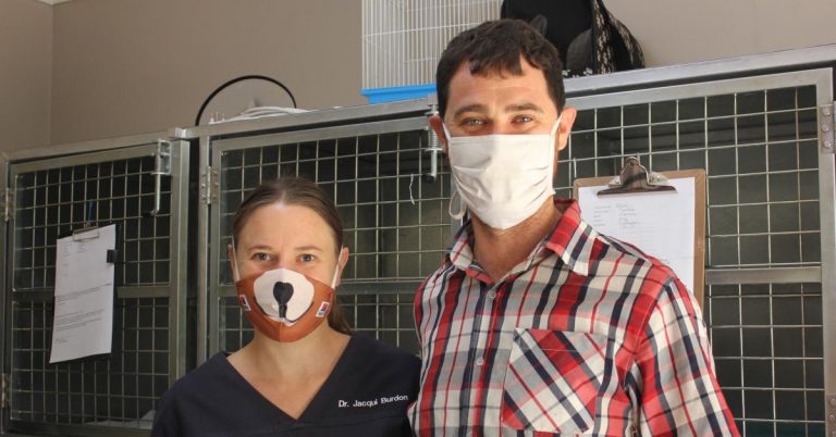 Vets discuss animal neglect—when pets suffer due to ignorance