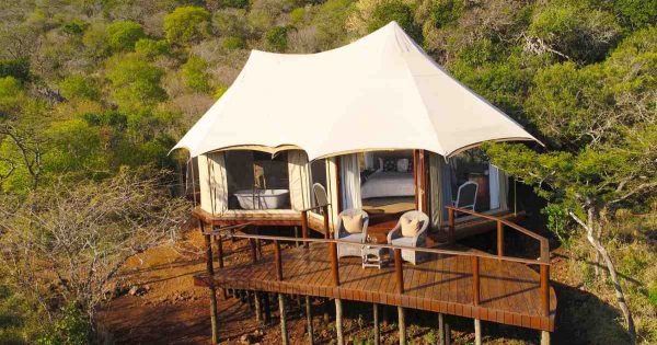 Thanda Safari’s Wine Weekend Under The Stars
