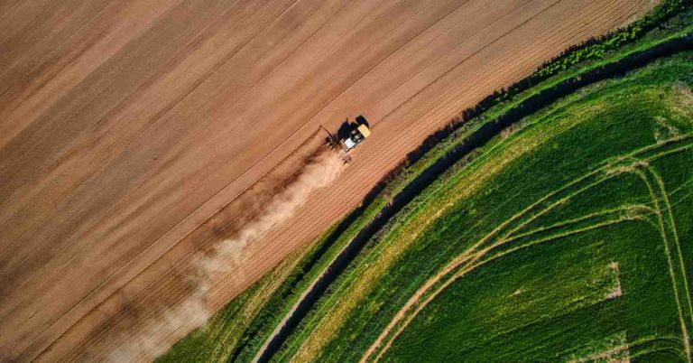 Land reform sees 436 563 hectares released under land distribution programme