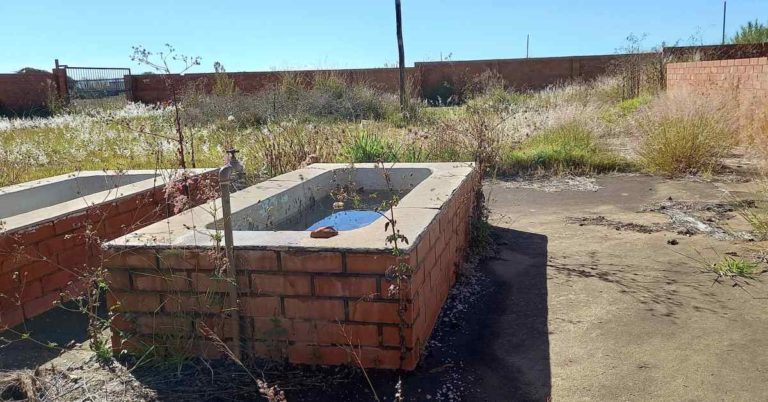 Municipality responds to allegations of animal neglect at its Pound