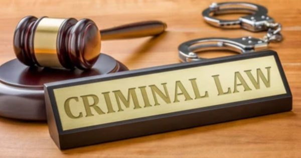 DA to lay criminal charges against Zuma's children and Malema for inciting violence