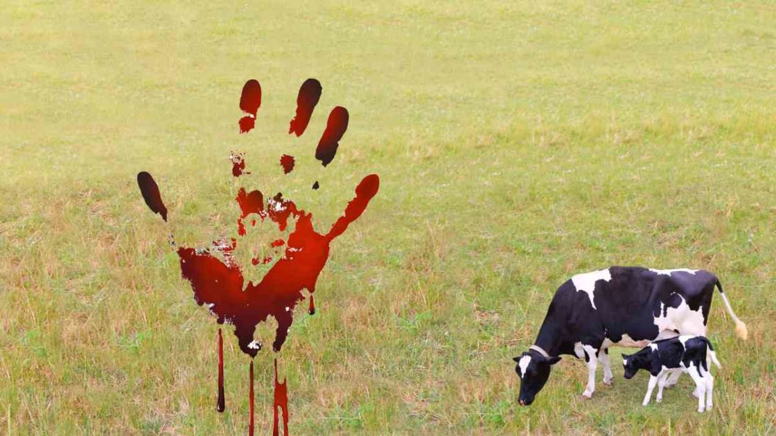 Glencoe farmer allegedly shoots 17-year-old boy