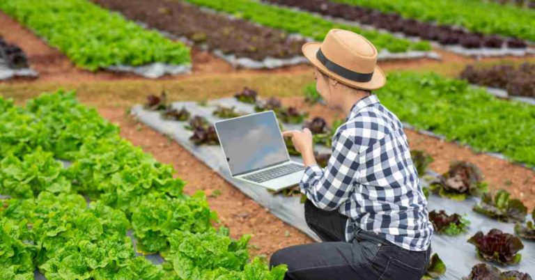 Incredible online Gardening courses from 3 Eco-Friendly schools