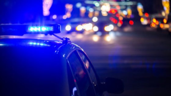 Women Attempt to Abduct Toddler from Grandmother’s Arms at Ladysmith Shopping Centre