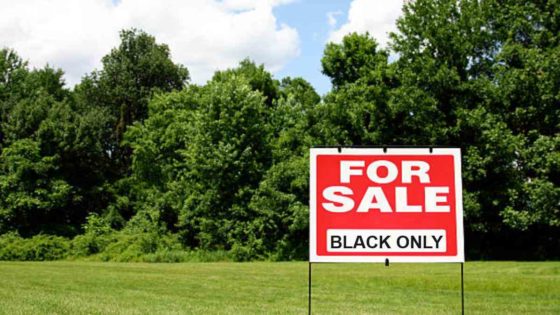 Worries as racially motivated land policy approved in Durban