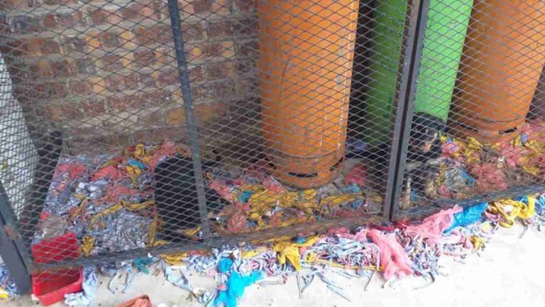 Puppies found locked up with gas bottles, Newcastle SPCA responds