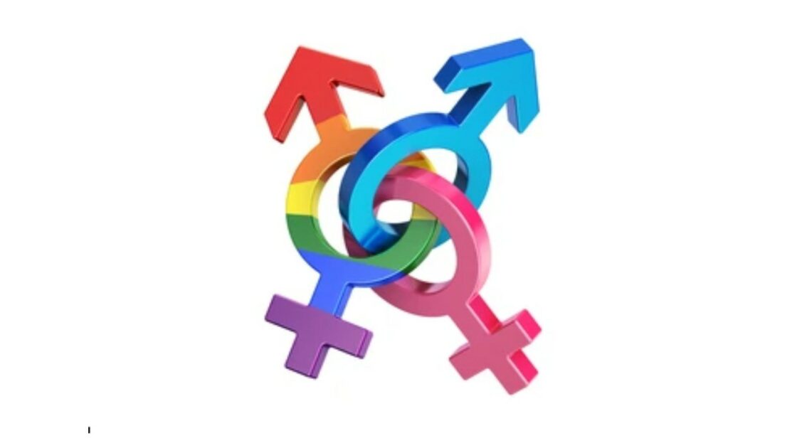35 gender identities and sexual orientations listed