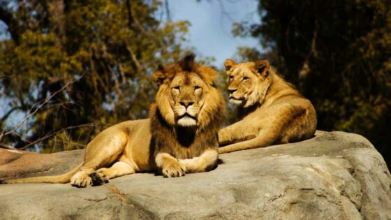 Free access to National parks for the week, learn more here