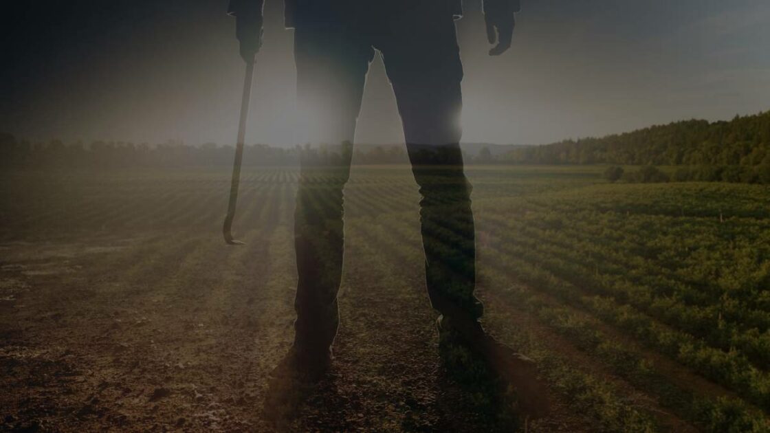 Farm attack