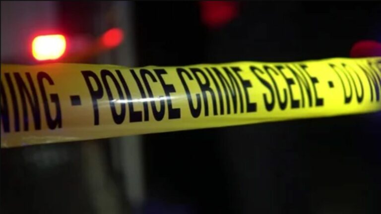 Your Guide on How to Hold Your Police Station and Its Officers Accountable