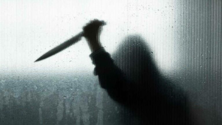 Man walks into police station, admits to stabbing girlfriend