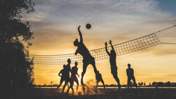 Ball Sports