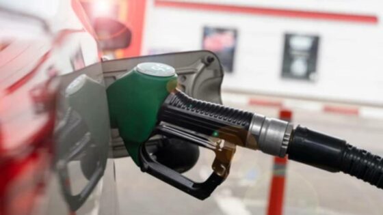 Petrol prices expected to drop slightly in August, says AA