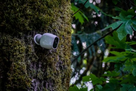 DIY security advice