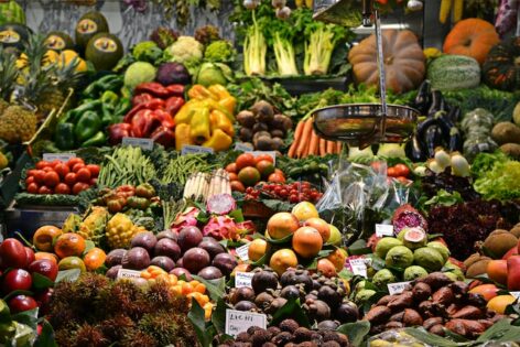 evolution of edible fruit and vegetables