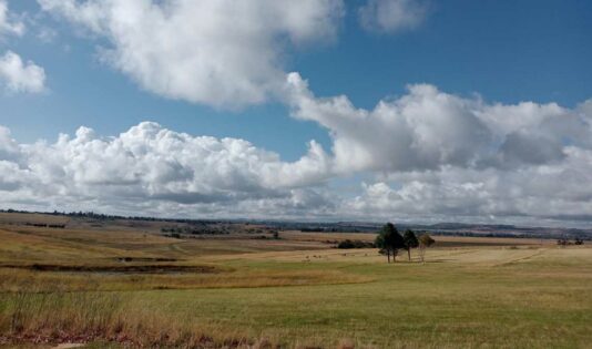 Weekend Weather Forecast for Newcastle, Ladysmith and Vryheid
