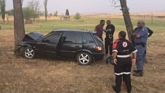 Motorist collides with tree on N11 after overtaking goes wrong