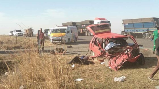 Collision on N11 claims one life and leaves two seriously injured