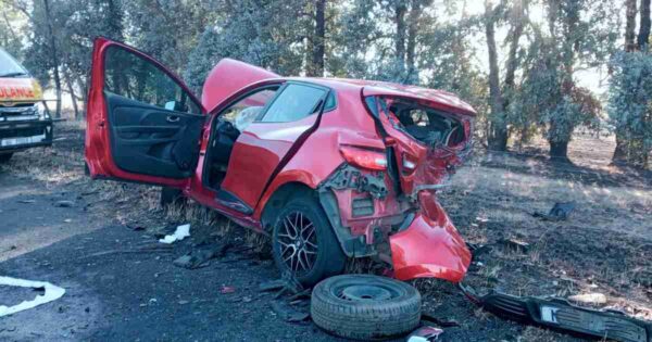 Tragic multi-vehicle collision on N11 leaves one dead and multiple injured