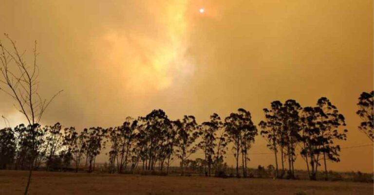 Memel community faces loss after fires: Support needed for affected families