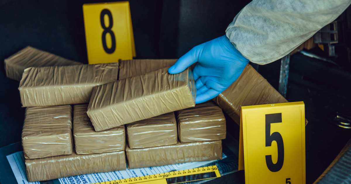Major Cannabis Lab Unearthed in Signal Hill, Newcastle