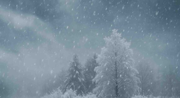 SAWS Forecasts Snow, Rain and Significant Cold This Week