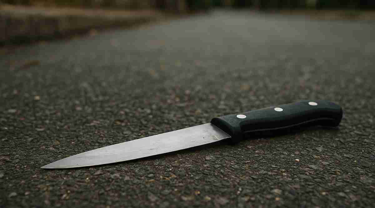 Man Fatally Stabbed Near Newcastle Showgrounds