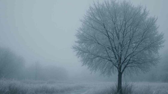 Weekend weather forecast for Newcastle, Ladysmith and Vryheid