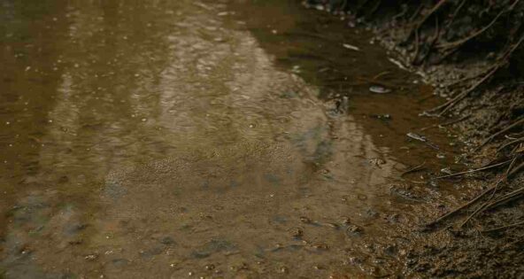 Newcastle water pollution industrial effluent