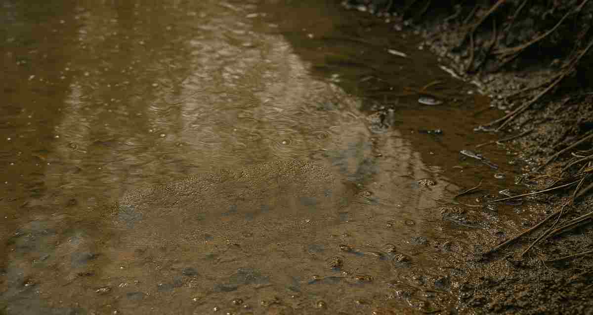 Newcastle water pollution industrial effluent
