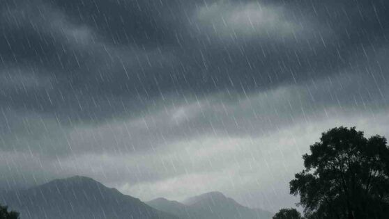 kzn weather