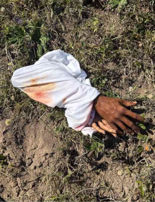 Verulam human hands found
