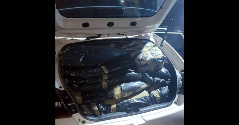Cannabis smuggling arrest Dundee