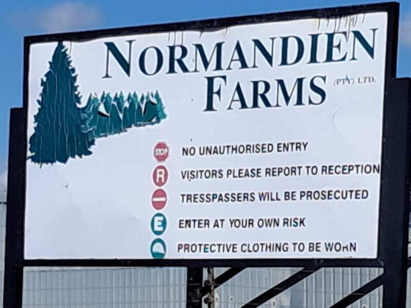 Normandien Farms inspection Newcastle