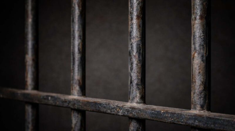 NKZN mother sentenced to life imprisonment