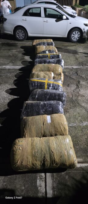 Newcastle cannabis seizure
